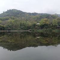 評論圖片 1