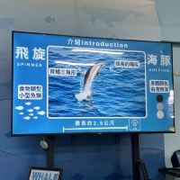 評論圖片 2