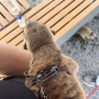 評論圖片 6