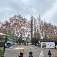 評論圖片 8