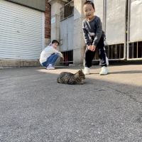 評論圖片 7