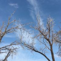 評論圖片 2