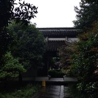 評論圖片 9