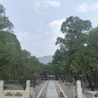 評論圖片 2