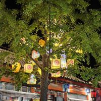 評論圖片 2