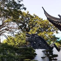 評論圖片 3