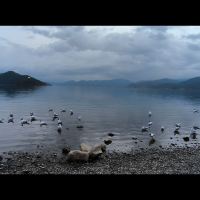 評論圖片 4