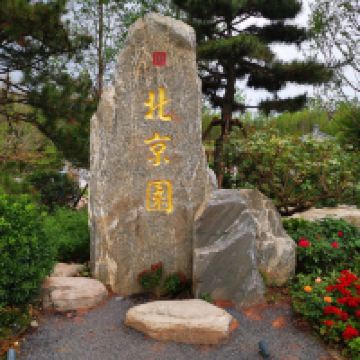 評論圖片 5