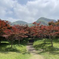 評論圖片 8
