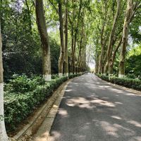 評論圖片 3