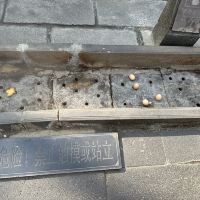 評論圖片 7