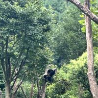 評論圖片 7