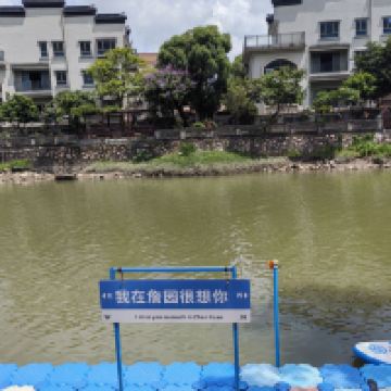 評論圖片 6