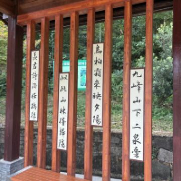 評論圖片 1
