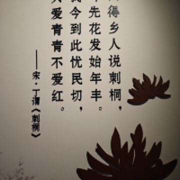 評論圖片 2