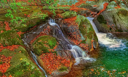 Micang Mountain National Forest Park