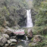 評論圖片 9