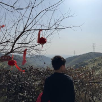 評論圖片 4