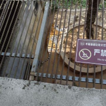 評論圖片 9