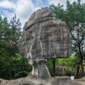 評論圖片 4
