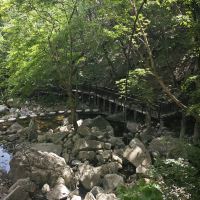 評論圖片 6