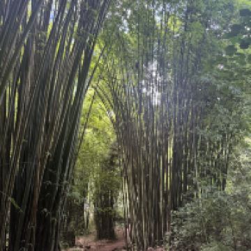 評論圖片 6