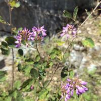 評論圖片 7