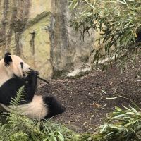 評論圖片 6