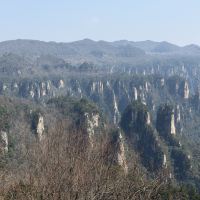 評論圖片 6