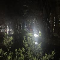 評論圖片 1