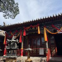 評論圖片 7