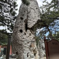 評論圖片 4