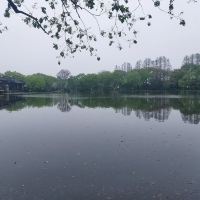 評論圖片 4