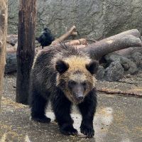 評論圖片 2