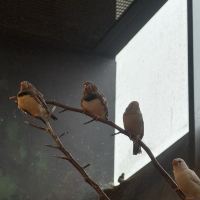 評論圖片 4