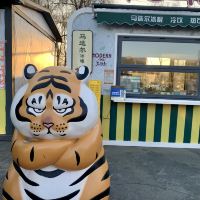 評論圖片 7