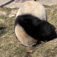 評論圖片 8