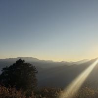 評論圖片 7
