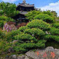 評論圖片 7