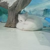評論圖片 3