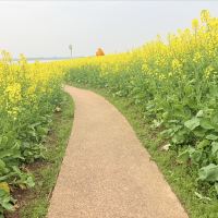 評論圖片 1