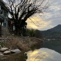 評論圖片 1