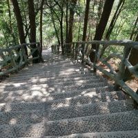 評論圖片 7