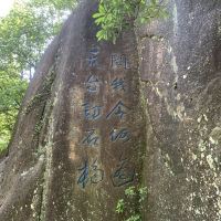 評論圖片 1
