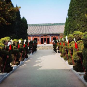 評論圖片 8