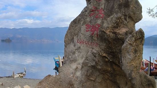 第一次去泸沽湖，第一次如此近距离接触红嘴鸥，人与人与自然的亲