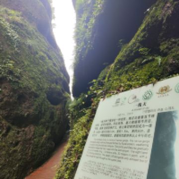 評論圖片 5
