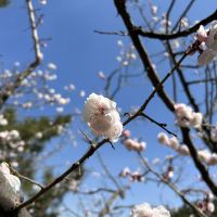 評論圖片 2