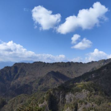 評論圖片 2