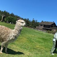 評論圖片 6